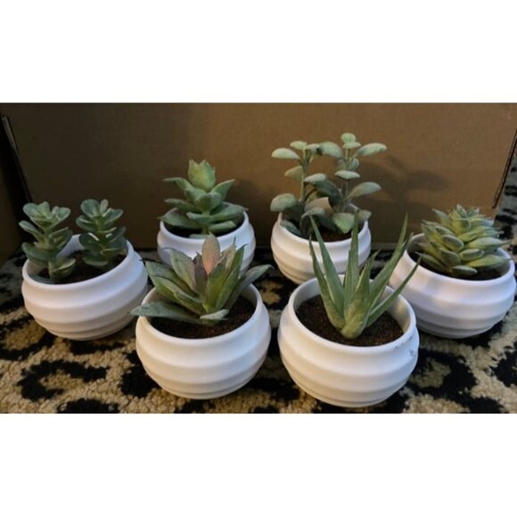 New Set of 6 Succulents Plants Artificial in Pots Small Fake Plants for Bedroom - Picture 2 of 2